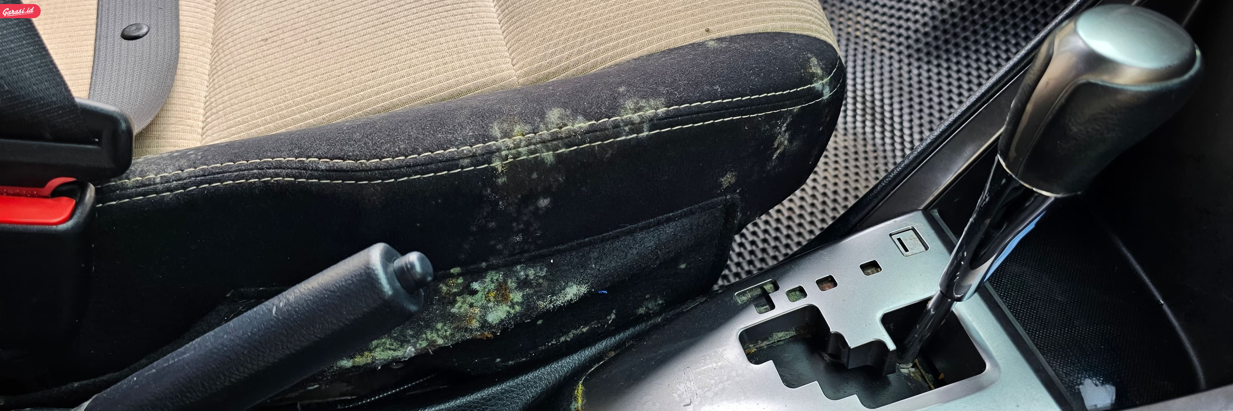 Hindari Jok Mobil Berjamur! Ini Tips Merawat Sesuai Jenis Bahannya