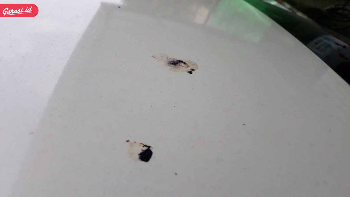 Hal Ini Bisa Jadi Penyebab Rusaknya Lapisan Cat Mobil