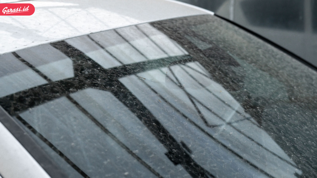 Visibilitas Aman di Musim Hujan, 4 Cara Bersihkan Jamur Kaca Mobil