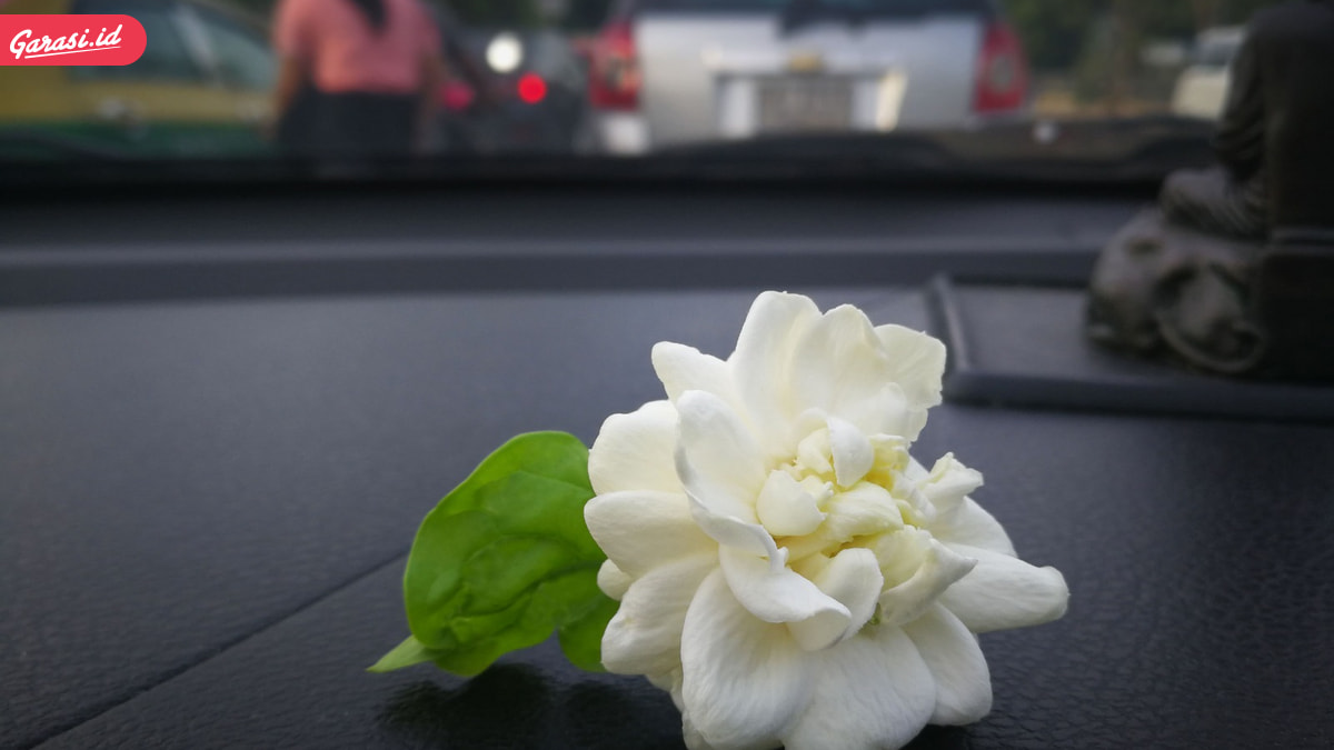 Jangan Biarkan Kecoa Bersarang di Mobil, Ini Solusinya!