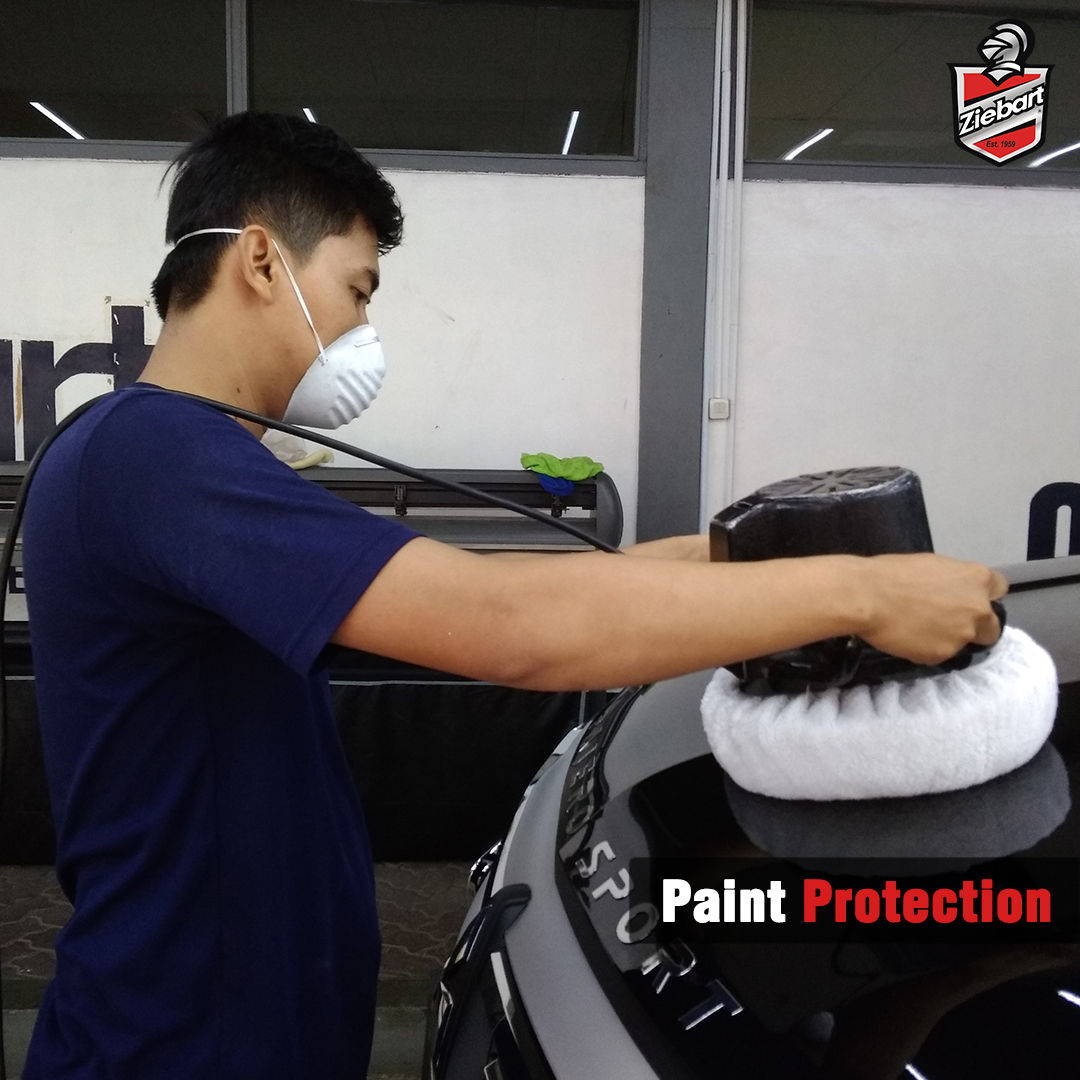 Ziebart Paint Protection Ziebart Paint Protection
