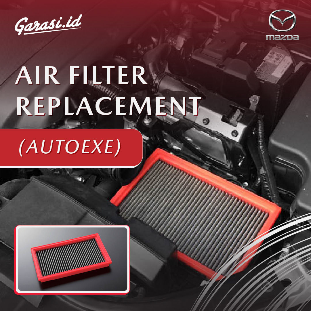AIR FILTER REPLACEMENT (AUTOEXE)