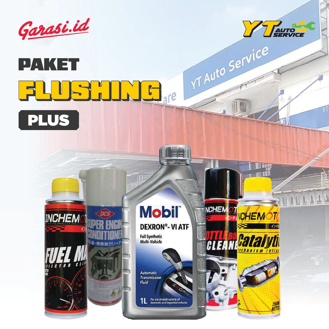 Paket Flushing Plus