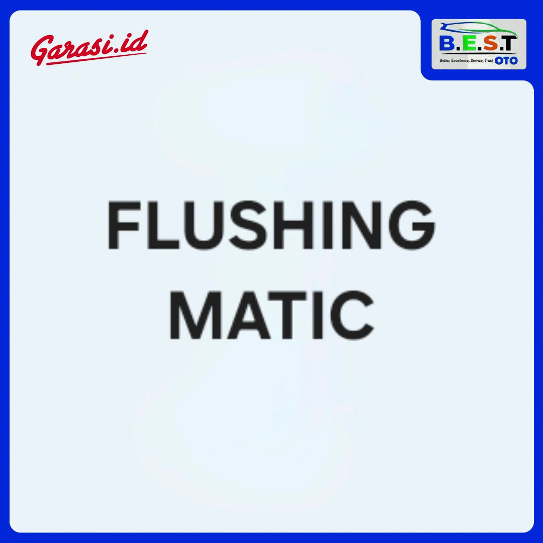 Flushing Matic