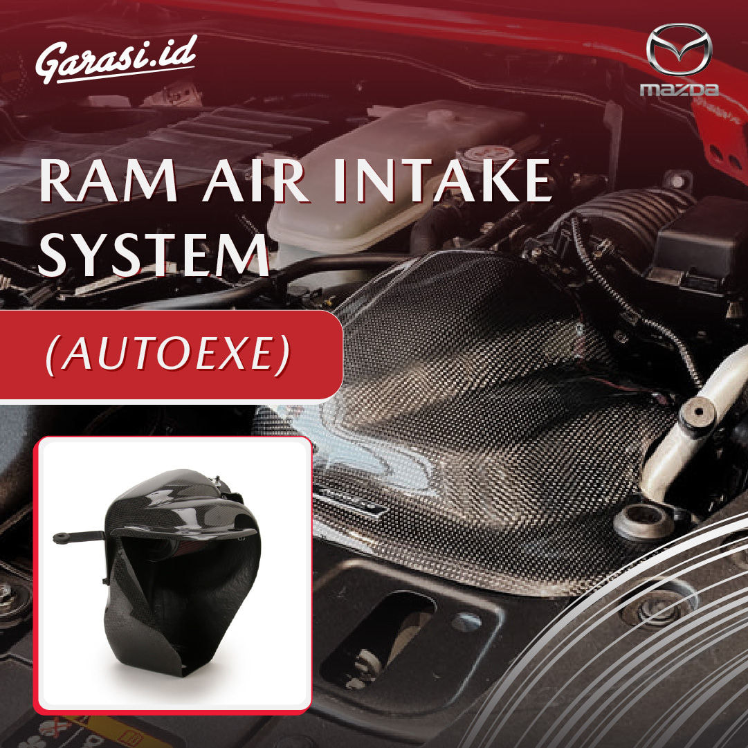 RAM AIR INTAKE SYSTEM (AUTOEXE)