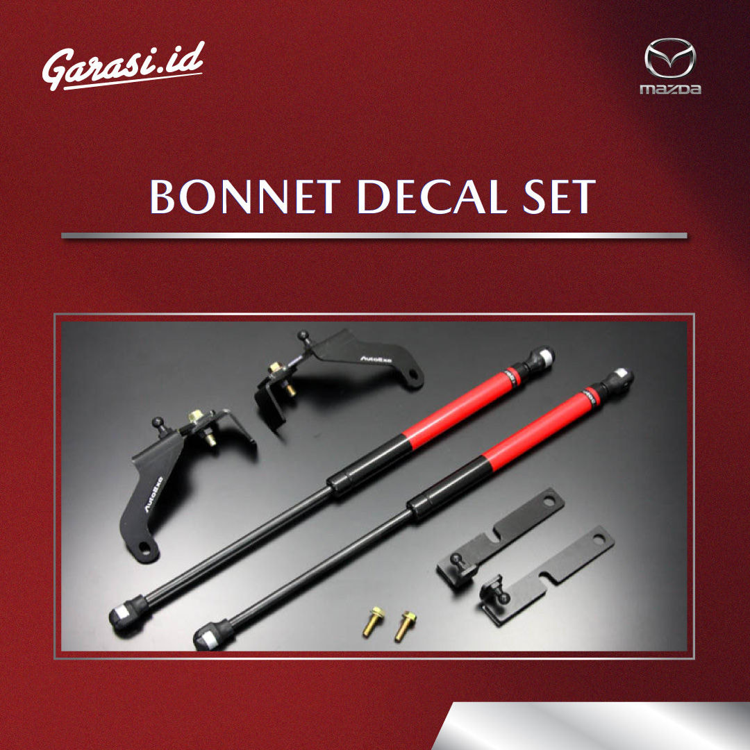 BONNET DECAL SET (AUTOEXE)