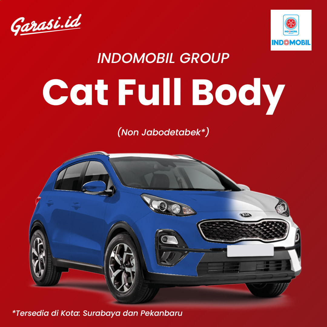 IMG Cat Full Body Non Jabodetabek