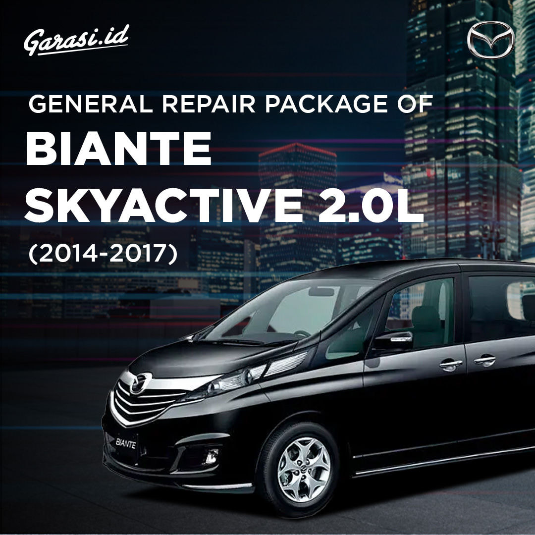 General Repair Package of Biante Skyactive 2.0L (2014-2017)