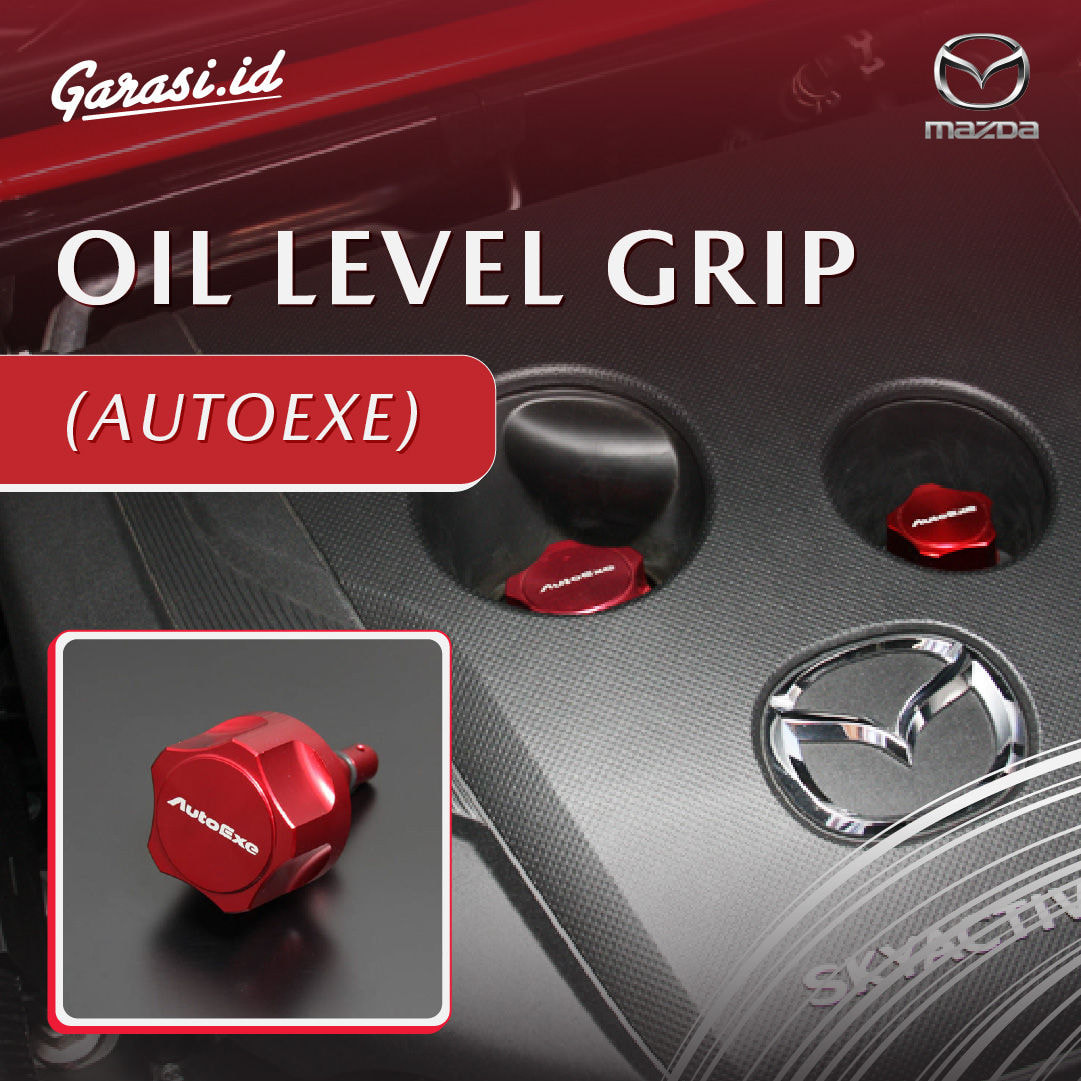 OIL LEVEL GRIP (AUTOEXE)