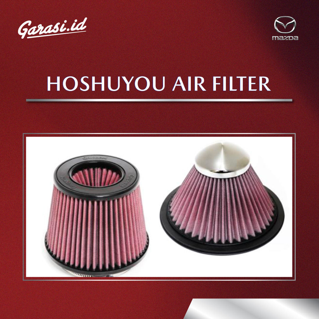 HOSHUYOU AIR FILTER (AUTOEXE)