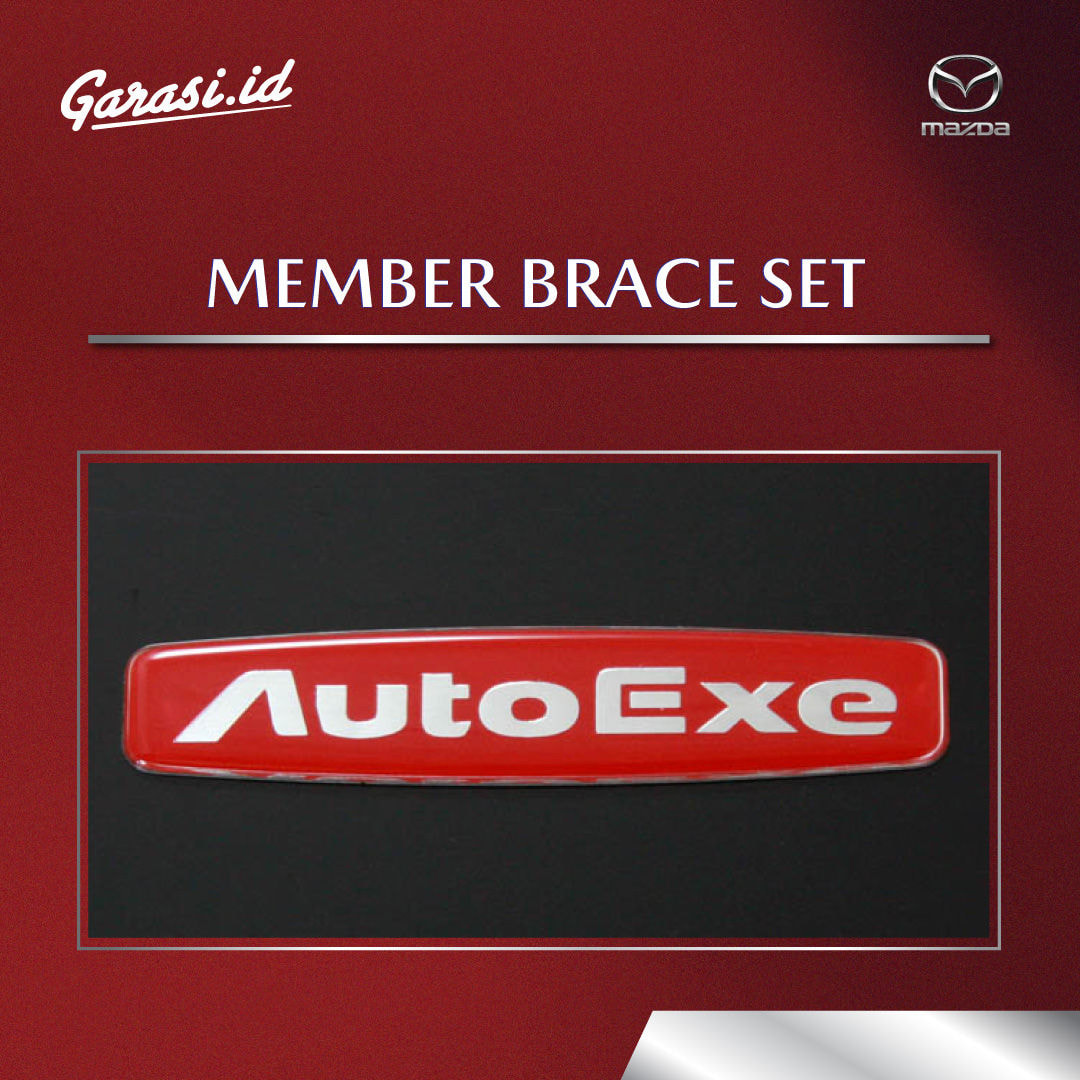 MEMBER BRACE SET (AUTOEXE)