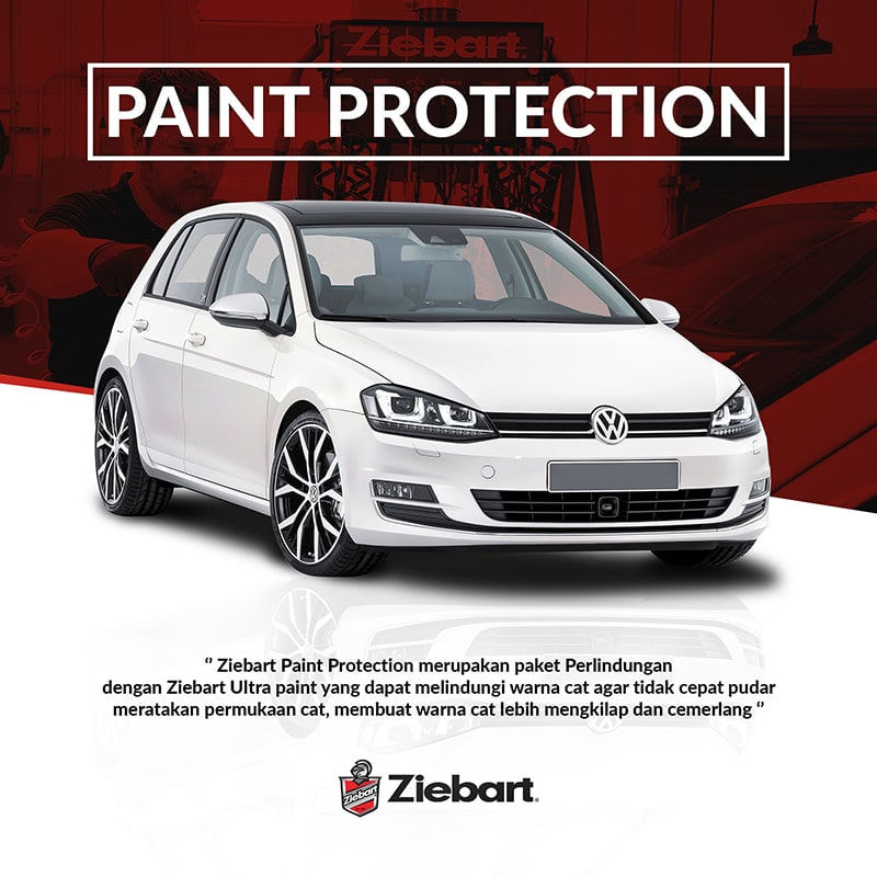 Ziebart Paint Protection