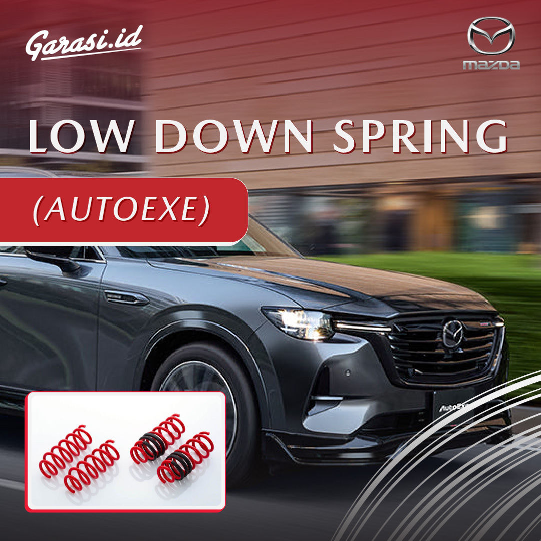 LOW DOWN SPRING (AUTOEXE)