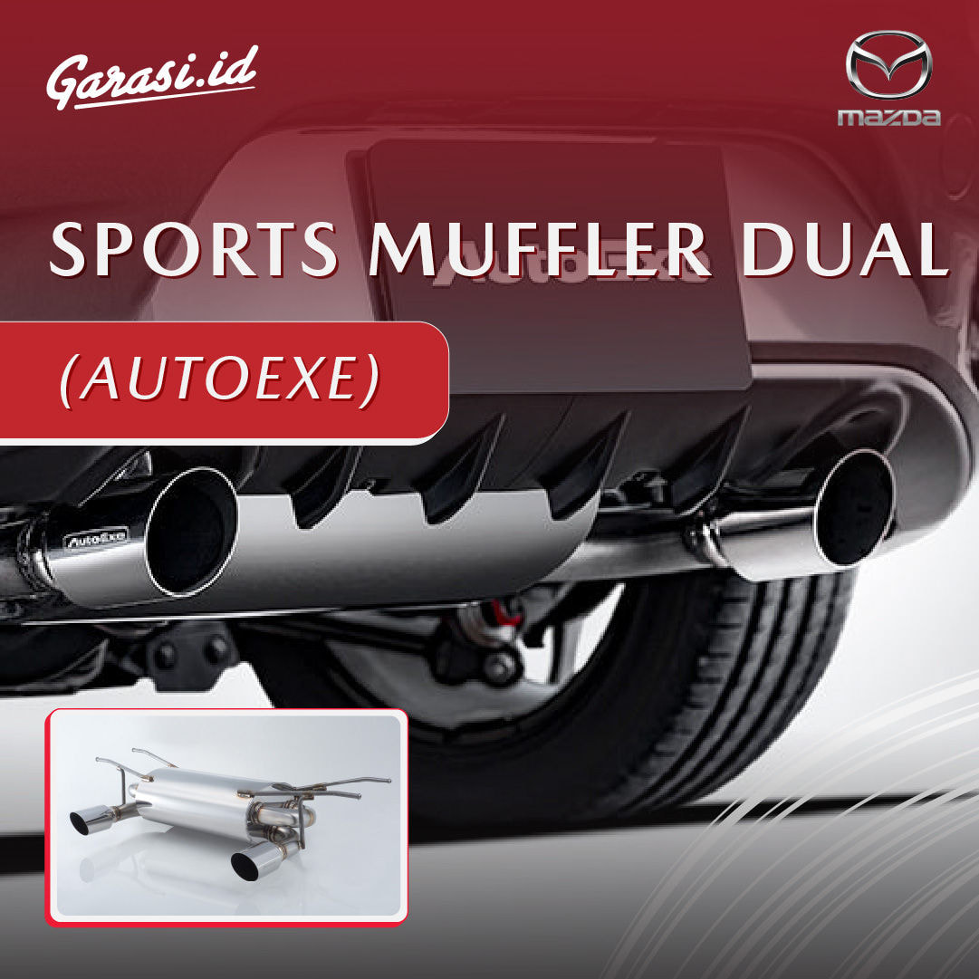 SPORTS MUFFLER DUAL (AUTOEXE)