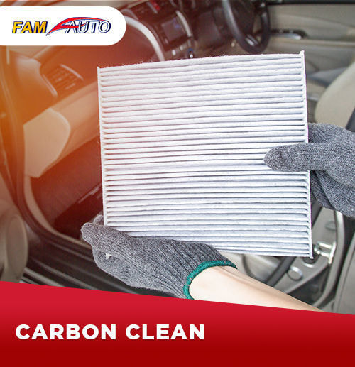 Carbon Clean Fam Auto Setu