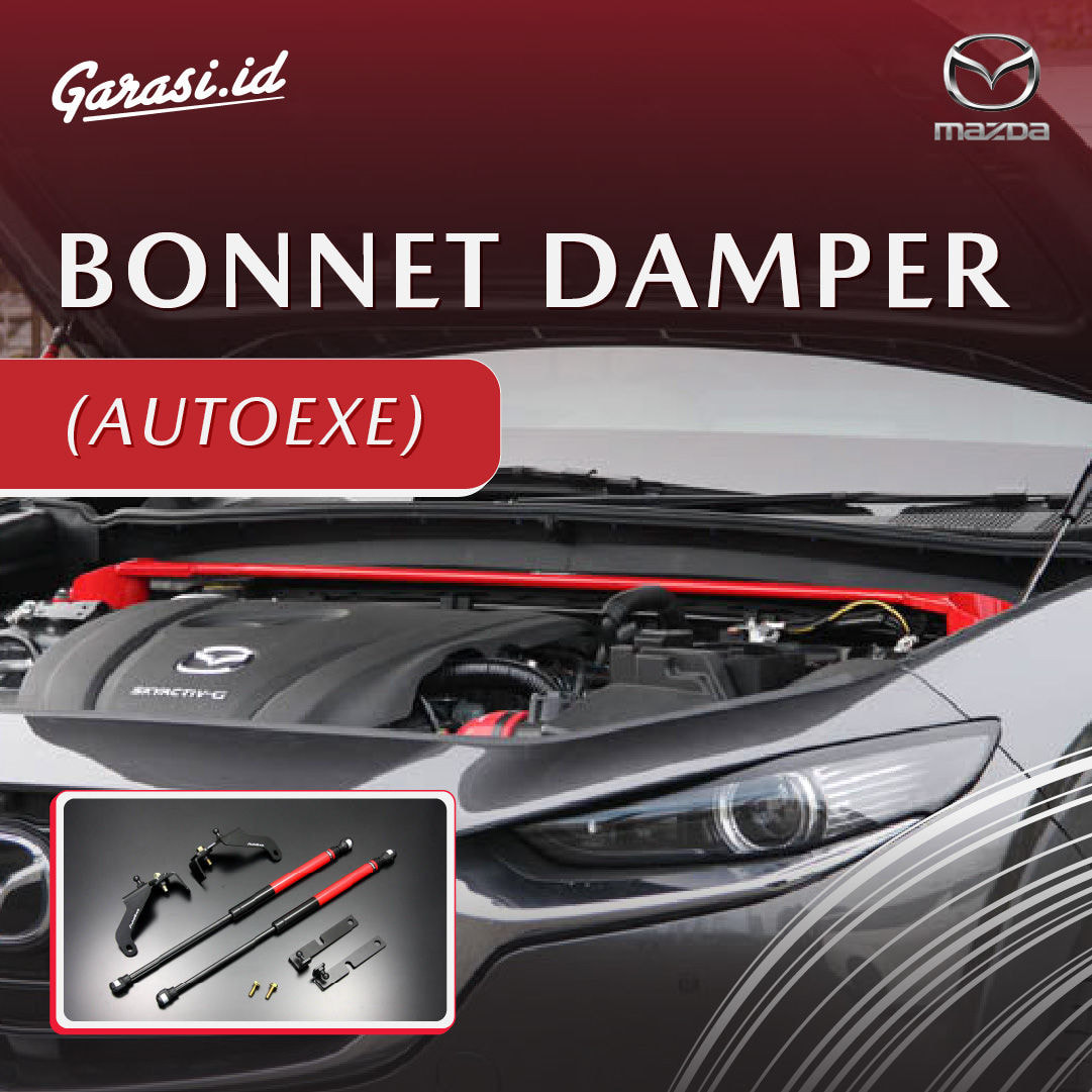 BONNET DAMPER (AUTOEXE)