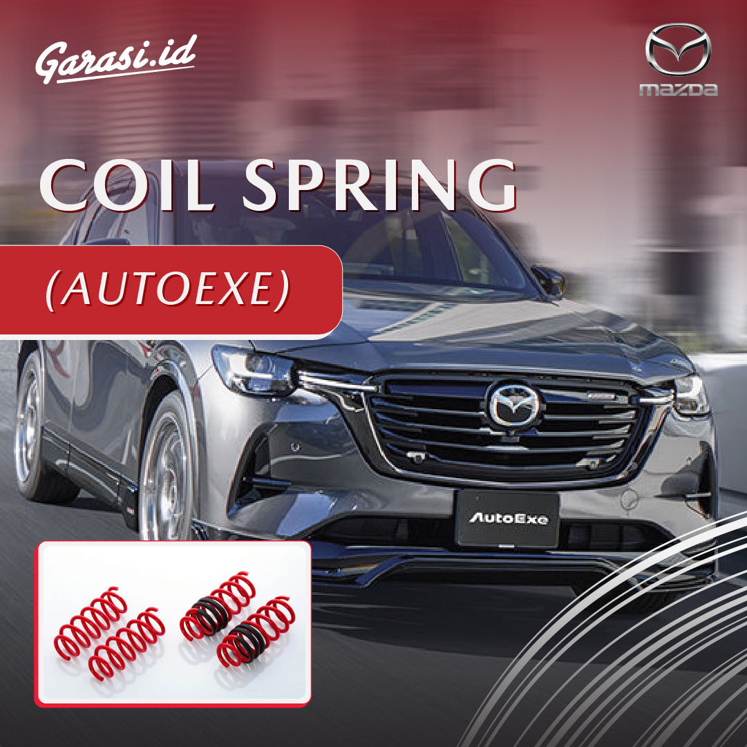 COIL SPRING (AUTOEXE)