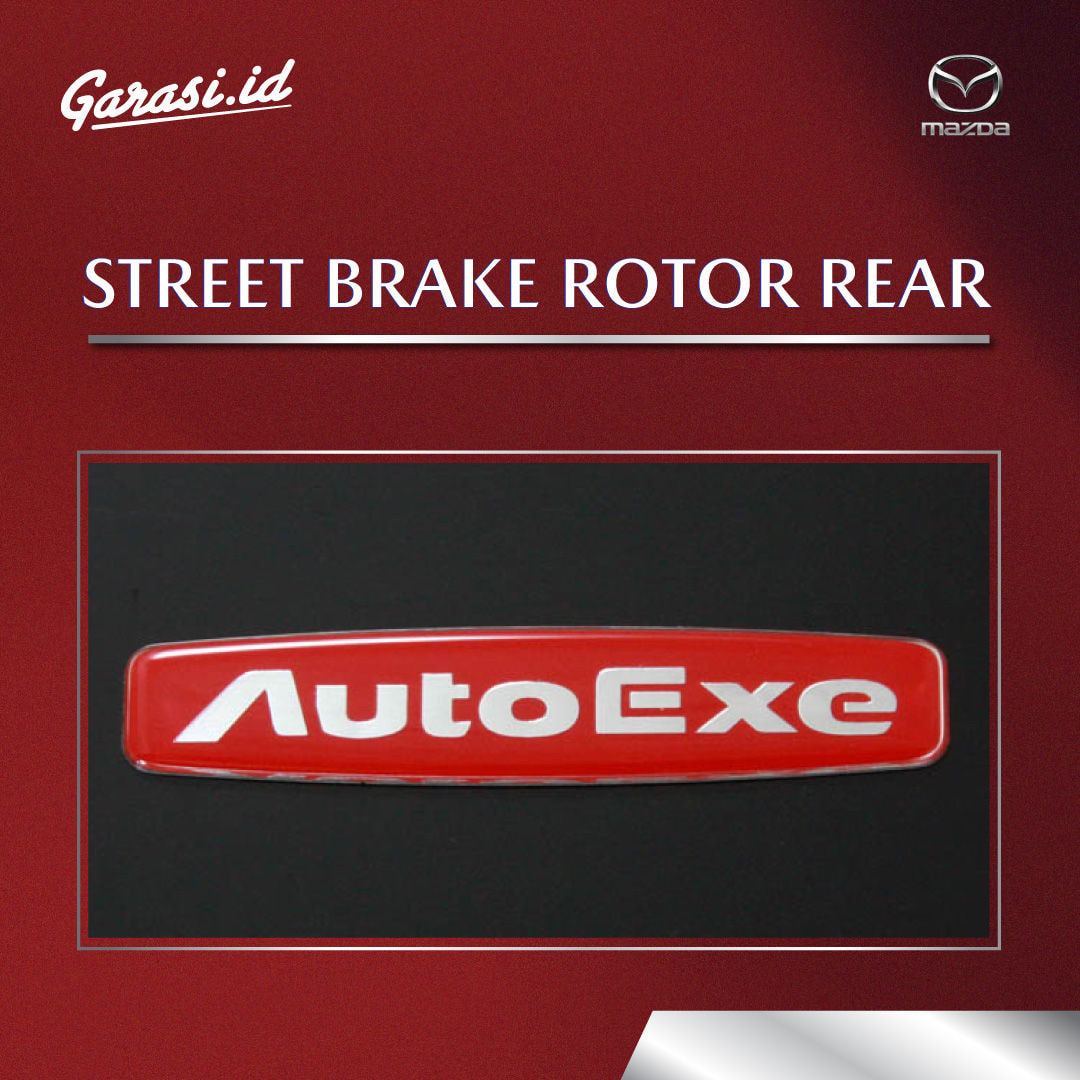 STREET BRAKE ROTOR REAR (AUTOEXE)