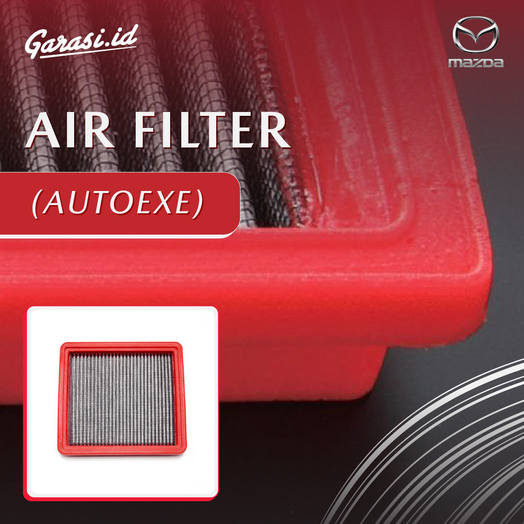 AIR FILTER (AUTOEXE)