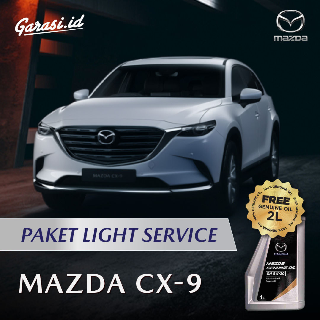 Light Service Package - Mazda CX9 Light Service Package - Mazda CX9