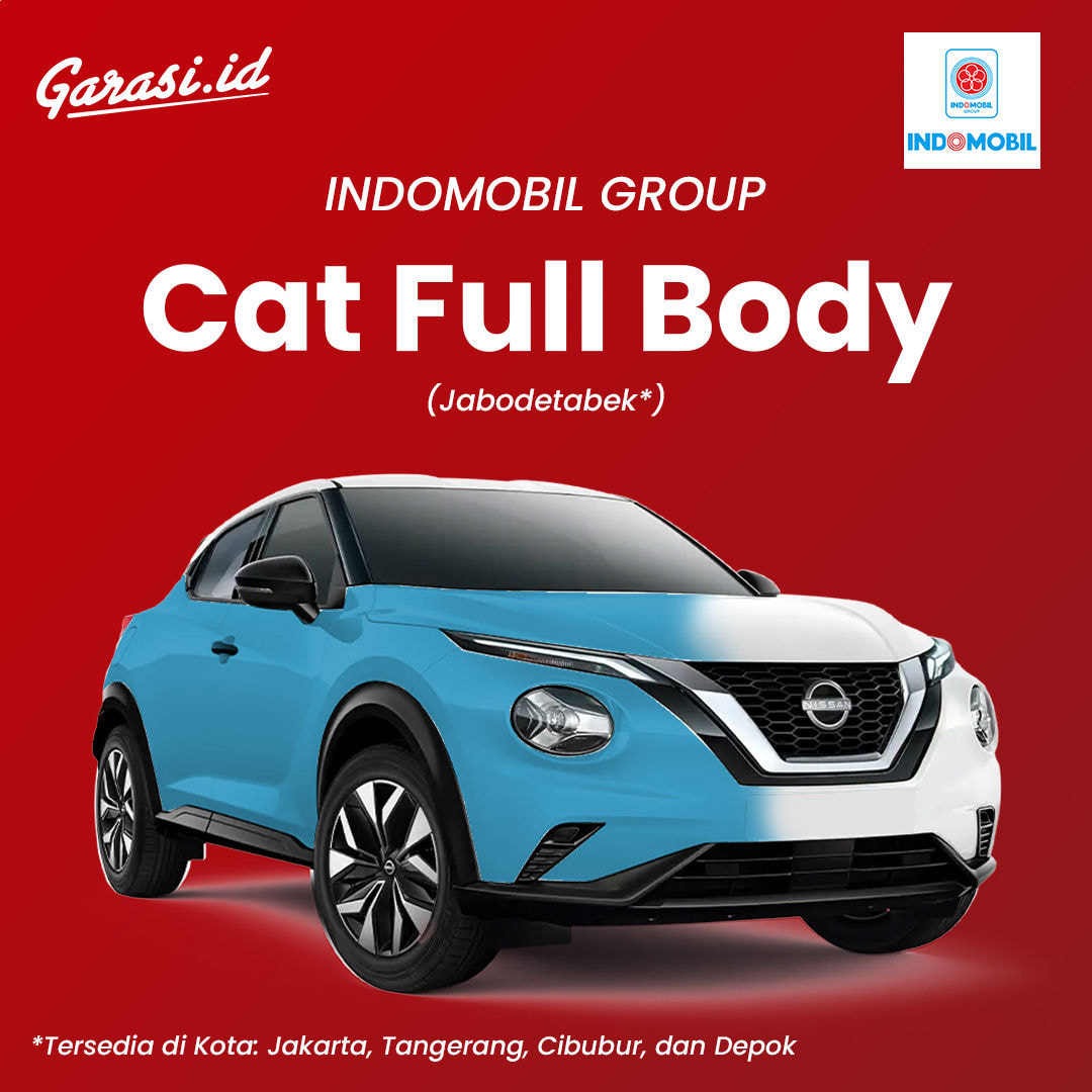 IMG Cat Full Body Jabodetabek