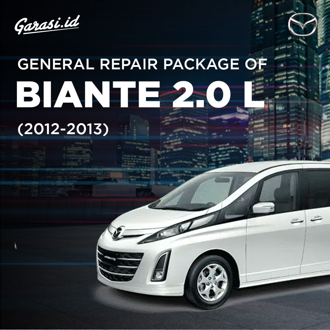 General Repair Package of Biante 2.0 L (2012-2013)