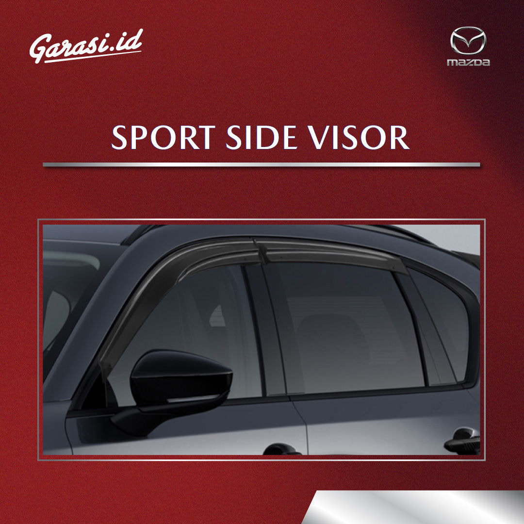 SPORTS SIDE VISOR (AUTOEXE)