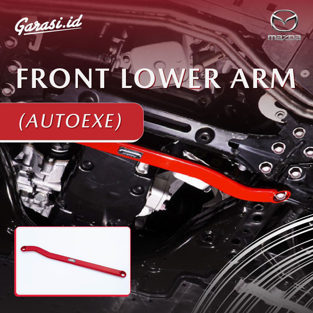 FRONT LOWER ARM (AUTOEXE)